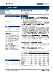 2019年三季报点评：Q3利润超预期，毛利率持续改善