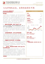 大光学领先企业，业绩快速增长可期