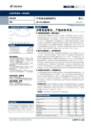 2019年三季报点评：业绩高速增长，产能积极布局