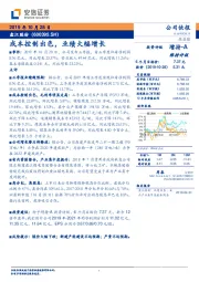 成本控制出色，业绩大幅增长