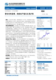 营收利润高增，战略性产能及品类扩张