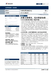 2019年三季报点评：业绩大幅增长，龙头强者恒强