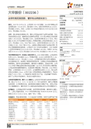 全球布局实现回报，看好各业务板块发力