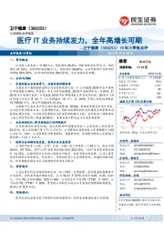 19年三季报点评：医疗IT业务持续发力，全年高增长可期