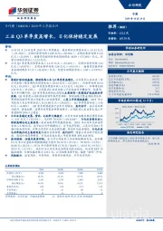 2019年三季报点评：工业Q3单季度高增长，日化保持稳定发展