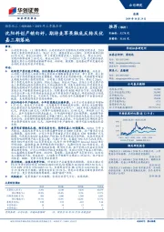 2019年三季报点评：沈阳科创产销向好，期待麦草畏触底反转及优嘉三期落地