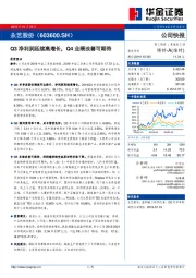 Q3净利润延续高增长，Q4业绩改善可期待