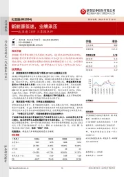 比亚迪2019三季报点评：新能源低迷，业绩承压