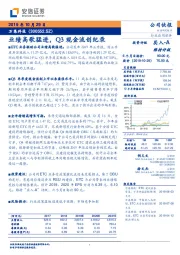 业绩高歌猛进，Q3现金流创纪录