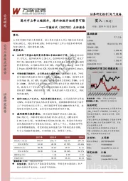 点评报告：国内市占率大幅提升，海外积极开拓前景可期