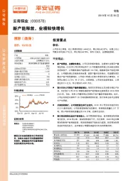 新产能释放，业绩较快增长