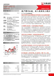 国产替代加速,收入或迎向上拐点