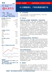 Q3业绩稳增长，产能和渠道持续扩张