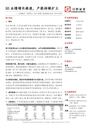 2019年第三季度报告点评：Q3业绩增长提速，产能持续扩大