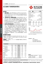 自主盈利下滑拖累盈利增长