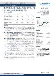 第三季度收入稳步提升,利润小幅下滑,“视频+”战略加速推动业绩稳步向上