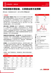 2019年三季报点评：市场销售环境较差，三季度业绩不及预期