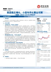 2019年三季报点评：图显稳定增长，小型专用化雷达可期