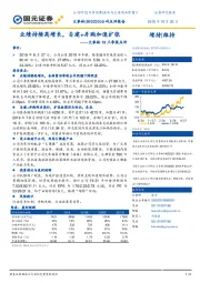 大参林19三季报点评：业绩持续高增长，自建+并购加速扩张