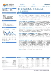 Q4预计盈利承压，不改龙头地位