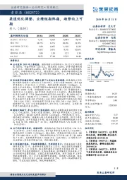 渠道优化调整、业绩短期阵痛，趋势向上可期