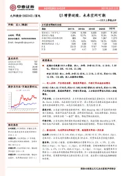 2019三季报点评:Q3增势延续,未来空间可期