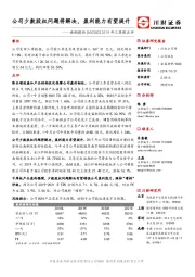 2019年三季报点评:公司少数股权问题将解决,盈利能力有望提升