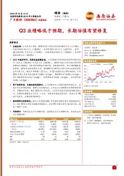 2019年三季报点评：Q3业绩略低于预期，长期估值有望修复