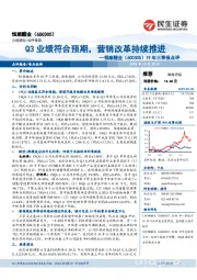 19年三季报点评：Q3业绩符合预期，营销改革持续推进