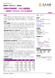 2019年三季报点评：内镜诊疗浪潮持续，19Q3业绩提速