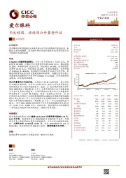 内生稳固，推进非公开募资外延