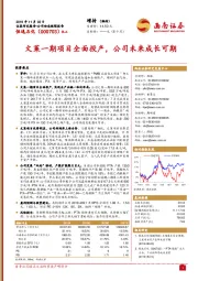文莱一期项目全面投产,公司未来成长可期