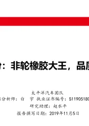 中鼎股份：非轮橡胶大王，品质鼎誉全球