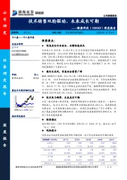 深度报告：技术销售双轮驱动，未来成长可期