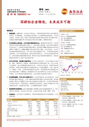 深耕铝合金铸造，未来成长可期