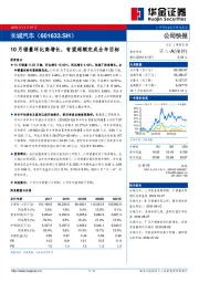 10月销量环比高增长，有望超额完成全年目标