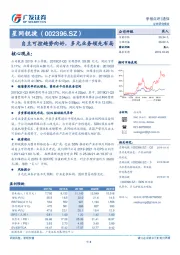 自主可控趋势向好，多元业务领先布局