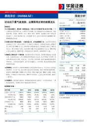 伏击处于景气度底部、业绩即将反转的炭黑龙头