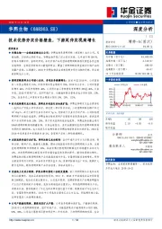 技术优势夯实价格壁垒，下游延伸实现高增长