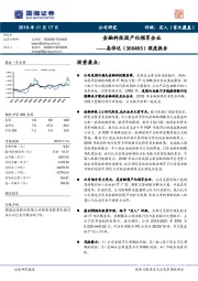 深度报告：金融科技国产化领军企业