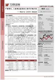 深度报告：产销增长，A股增发获准助力海外并购扩张