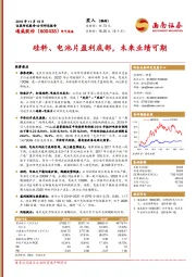 硅料、电池片盈利底部，未来业绩可期