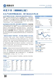 知识产权保护赛道高成长，图片版权龙头再出发