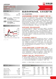 能源原材料枢纽港，未来发展可期