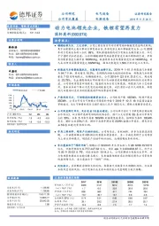 动力电池领先企业，铁锂有望再发力