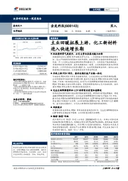 主业回暖拓展上游,化工新材料进入快速增长期