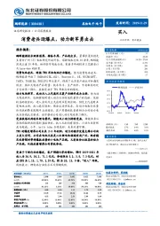 消费老兵迎爆点,动力新军勇出击