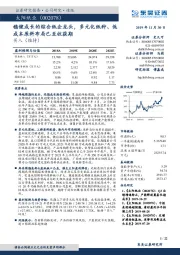 稳健成长的综合纸企龙头，多元化纸种、低成本原料布局已至收获期