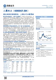 箱瓦纸涨价持续落实，上调公司业绩预测