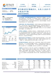 国内微创诊疗器械龙头，未来三大技术平台高成长可期